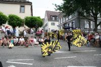 IMG_6174 (2) 